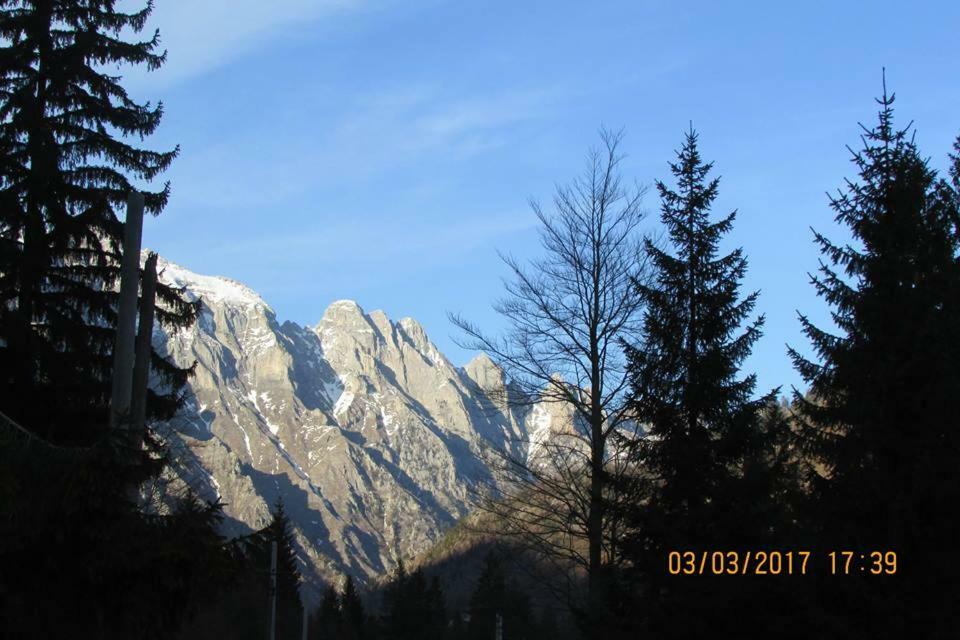 Valbona Eco Camping Hotel Exterior photo