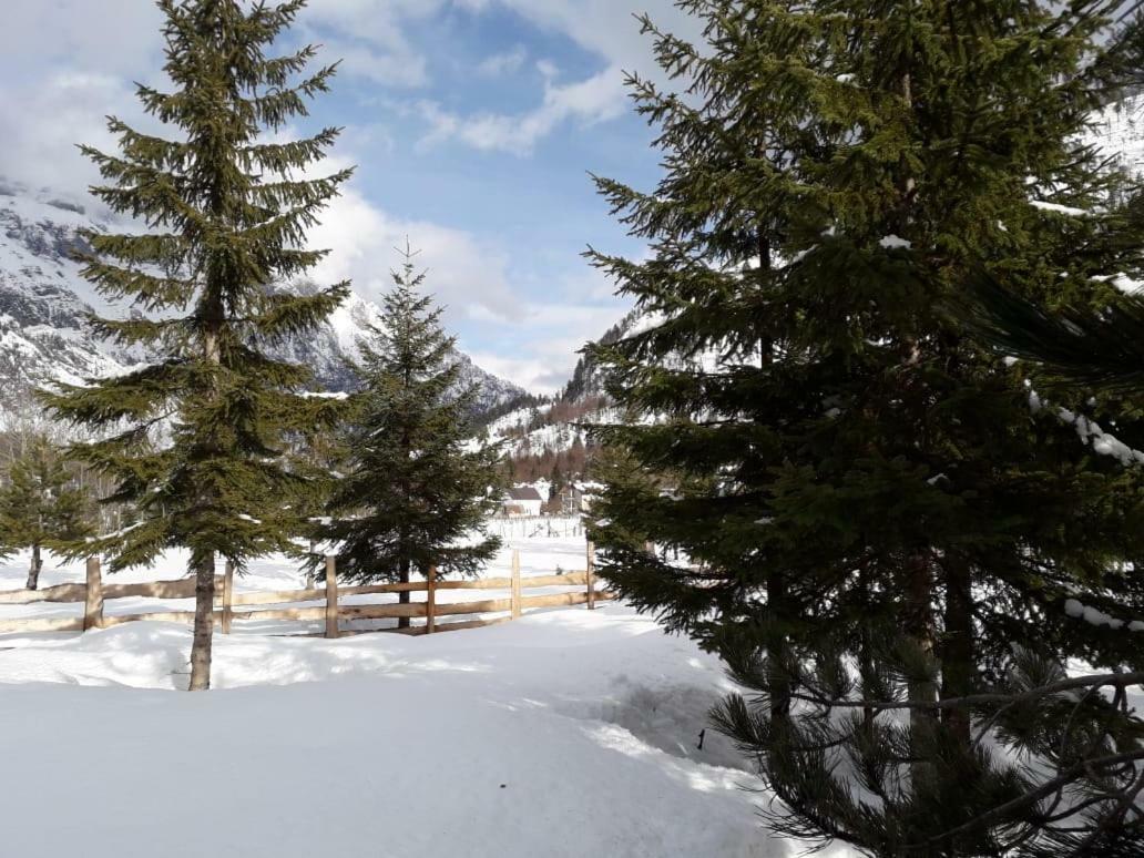Valbona Eco Camping Hotel Exterior photo